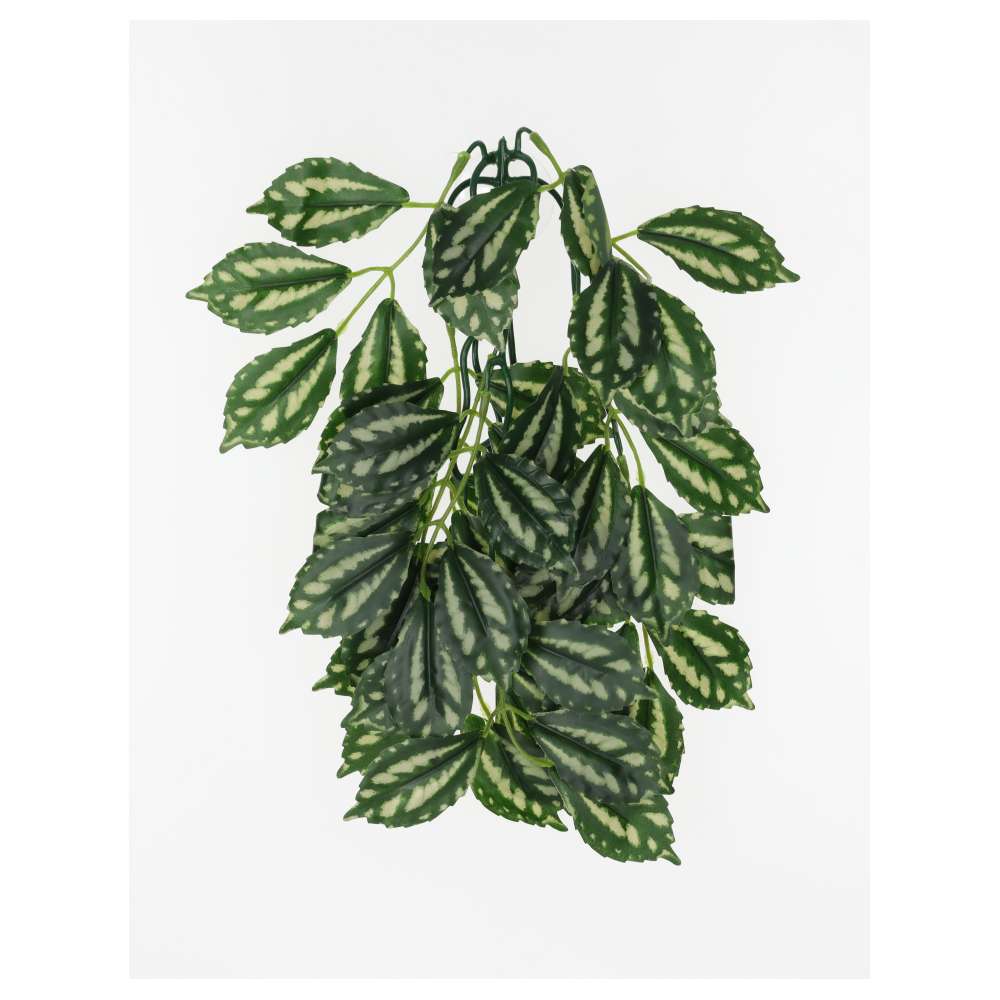 ProRep Watermelon Peperomia Silk Hanging Plant