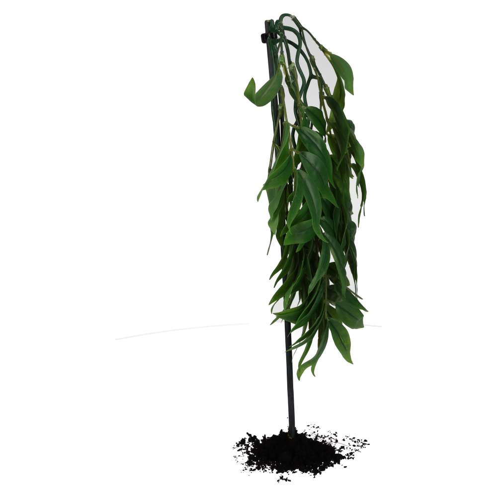 ProRep Bamboo Silk Hanging Plant
