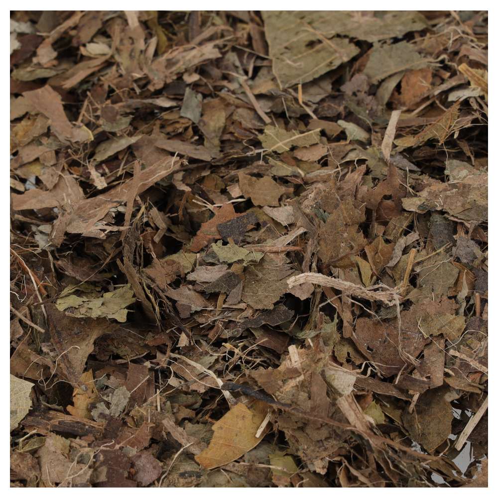 ProRep Bio Life Leaf Litter Brick