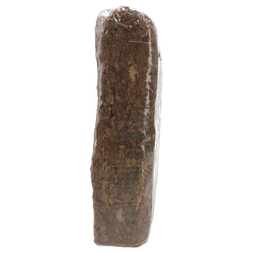 ProRep Leaf Litter Block 2.5kg – Bioactive Vivarium Substrate
