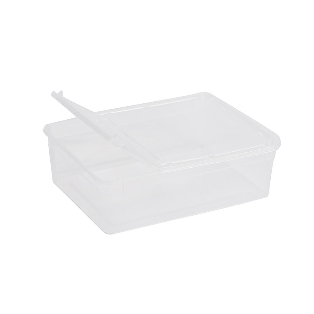 BraPlast Hinged Box 3.0L 245x185x75mm