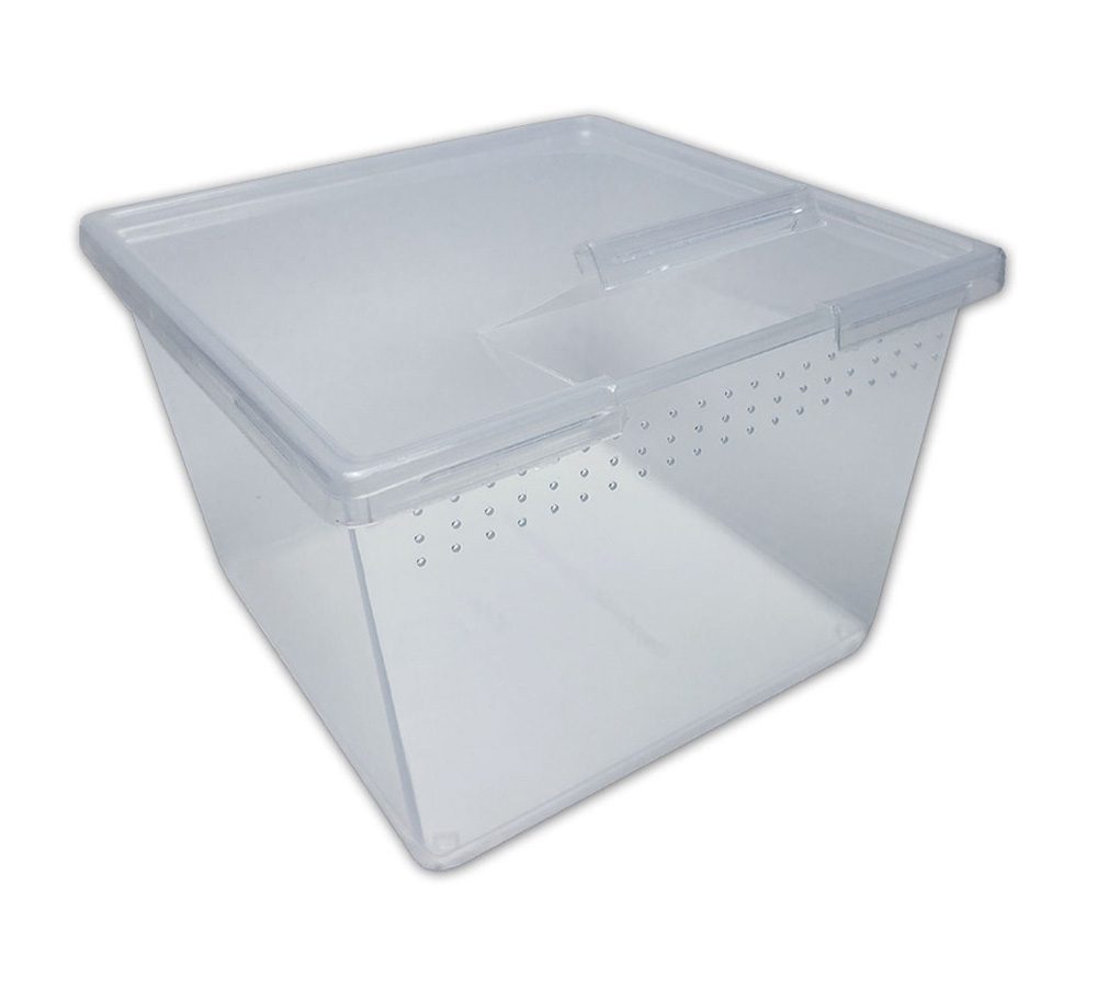 Peregrine Livefoods Square Container with Flip Lid 24oz – Pack of 200