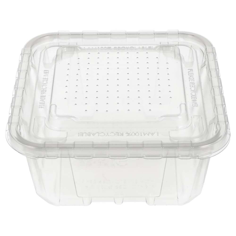 Peregrine Livefoods Live Animal Vented Tub 176x176mm | 16 Pack