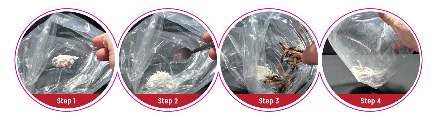 Reptile Systems Vit-A-Max