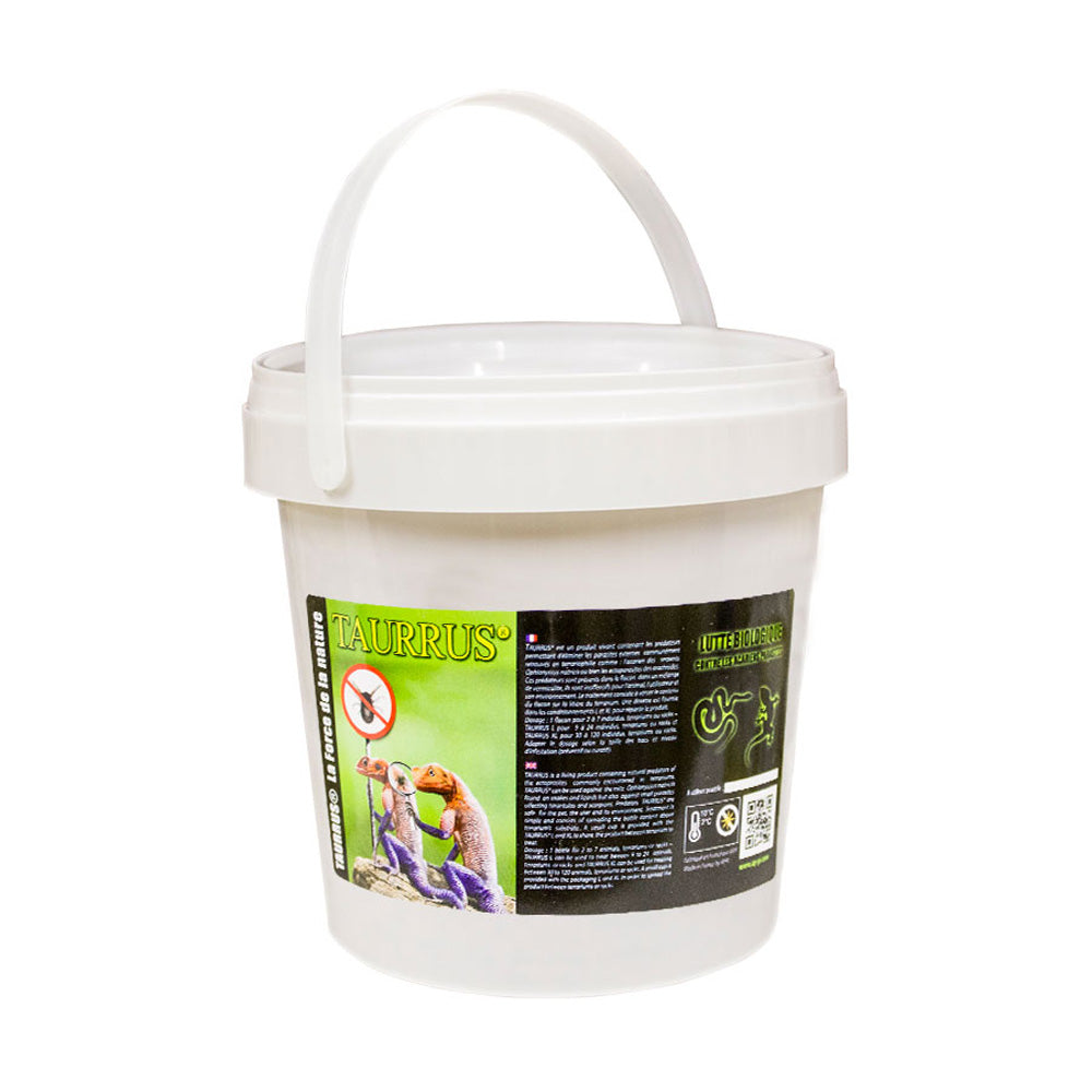 Taurrus LIVE Biological Mite Control - L | Reptile Vivarium Treatment