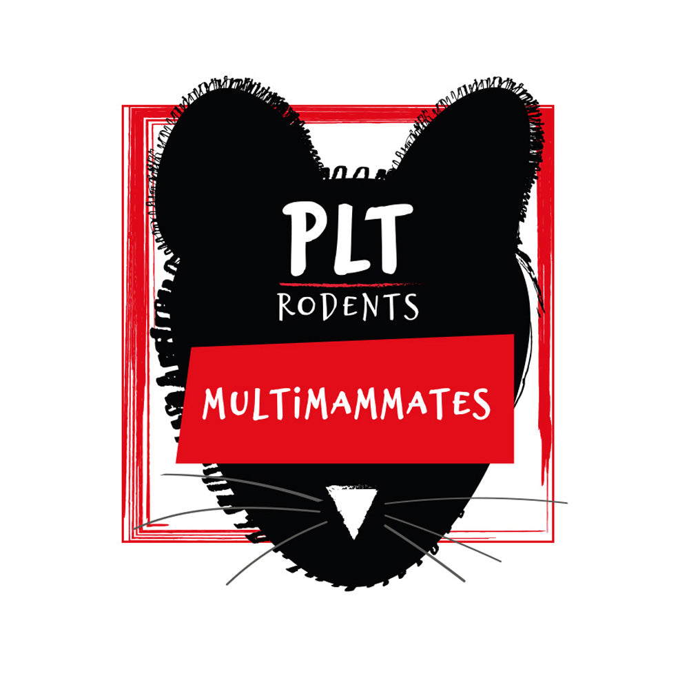 PLT Multi Mammate Small 10g+ 10 Pack