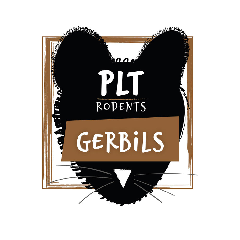 PLT Gerbils 20g+ 10 Pack | Reptile Feeder Food