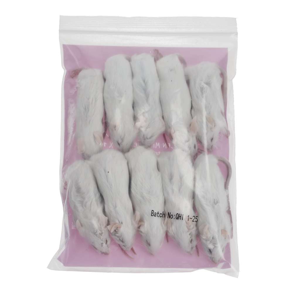 PLT Frozen Mice Medium 20g+