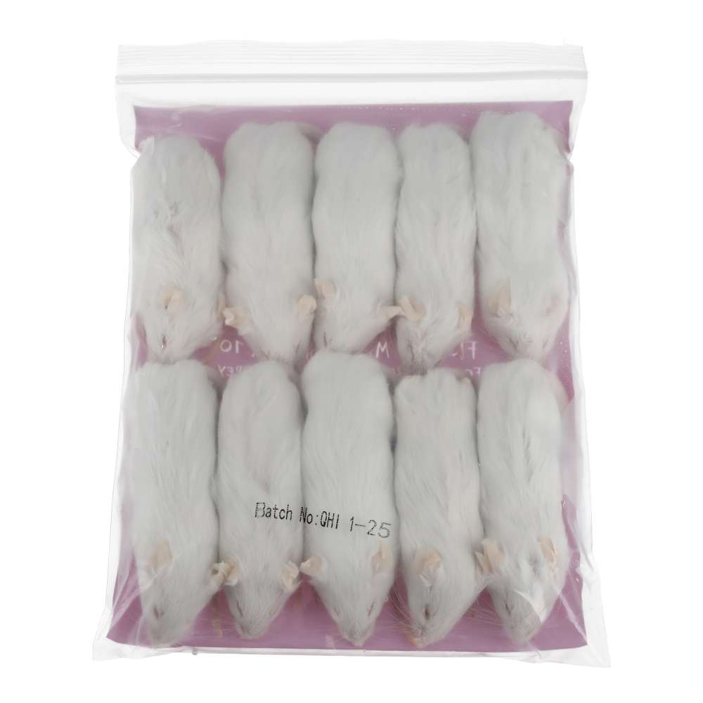 PLT Frozen Mice Large 26g+