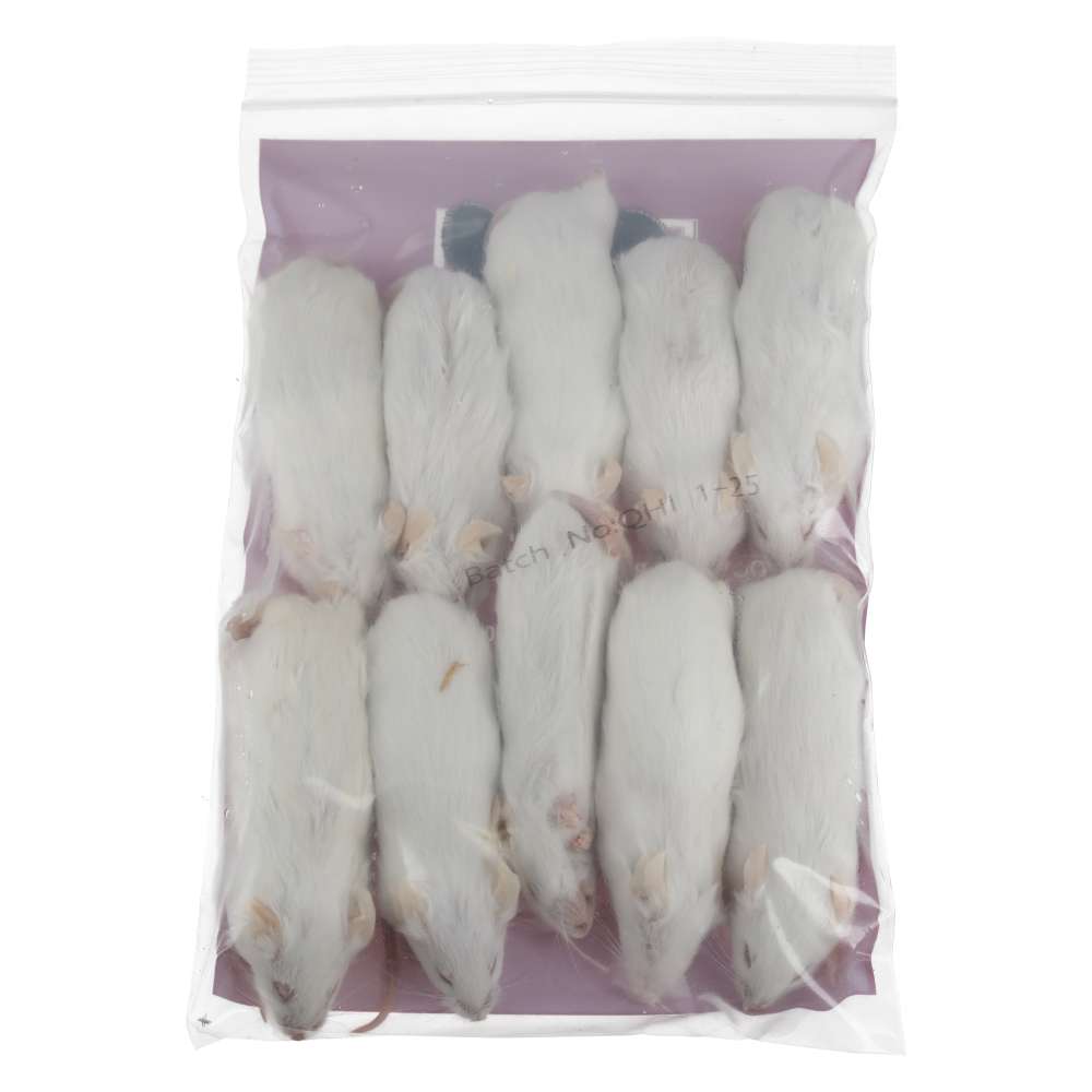 PLT Frozen Mice X-Large 30g+