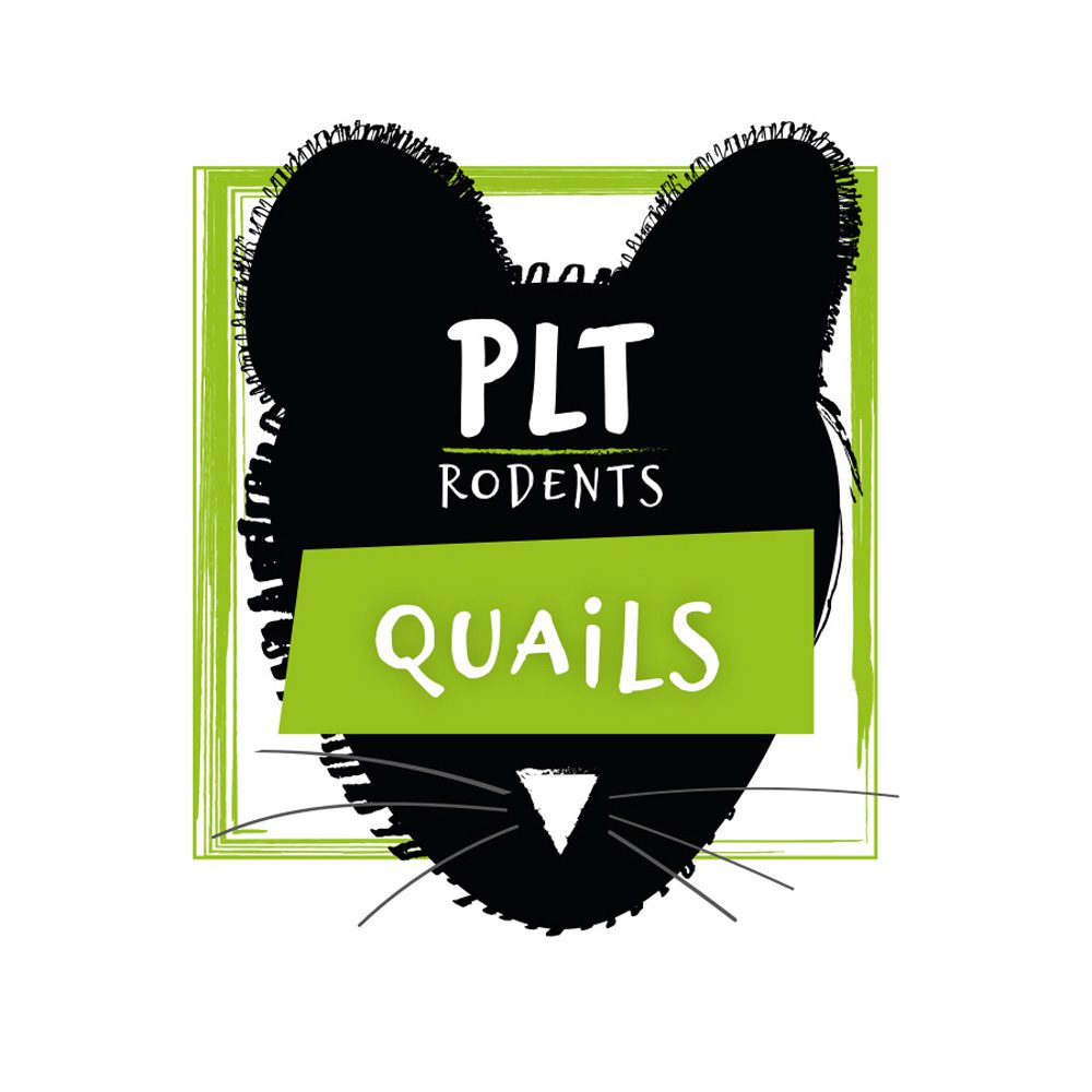 PLT Frozen Quail Small 5g+