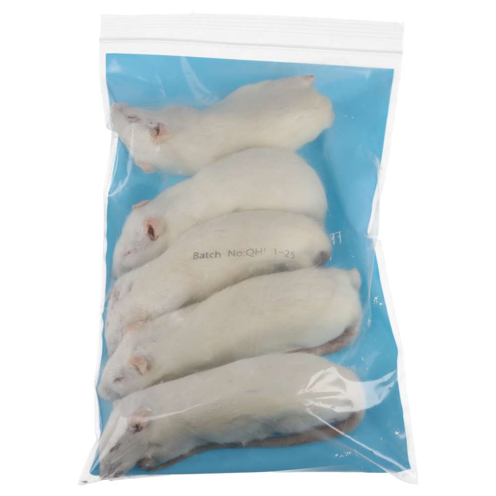 PLT Frozen Rats Small/Medium 130g+