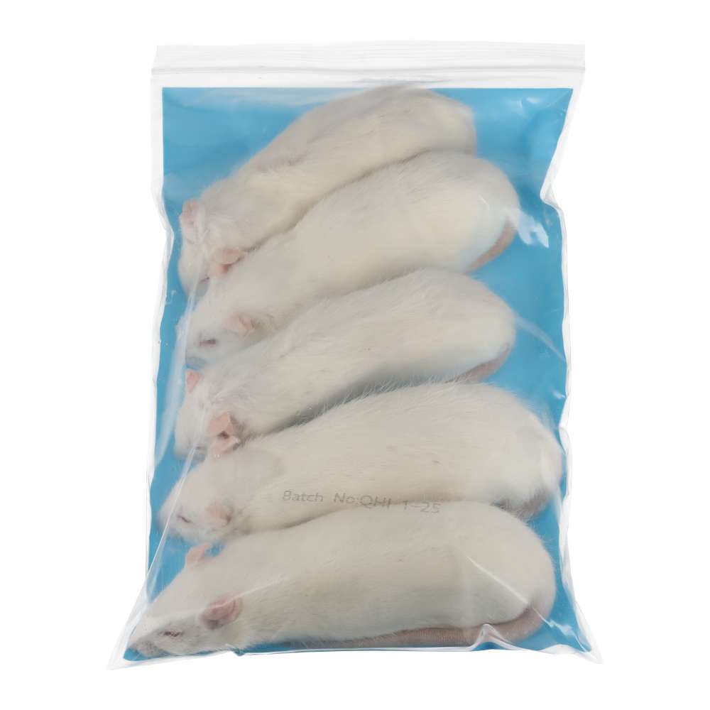PLT Frozen Rats Medium 160g+