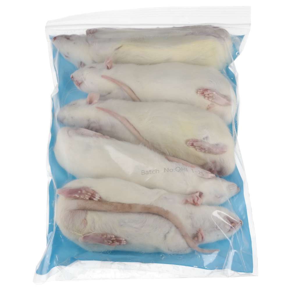 PLT Frozen Rats Medium/Large 200g+