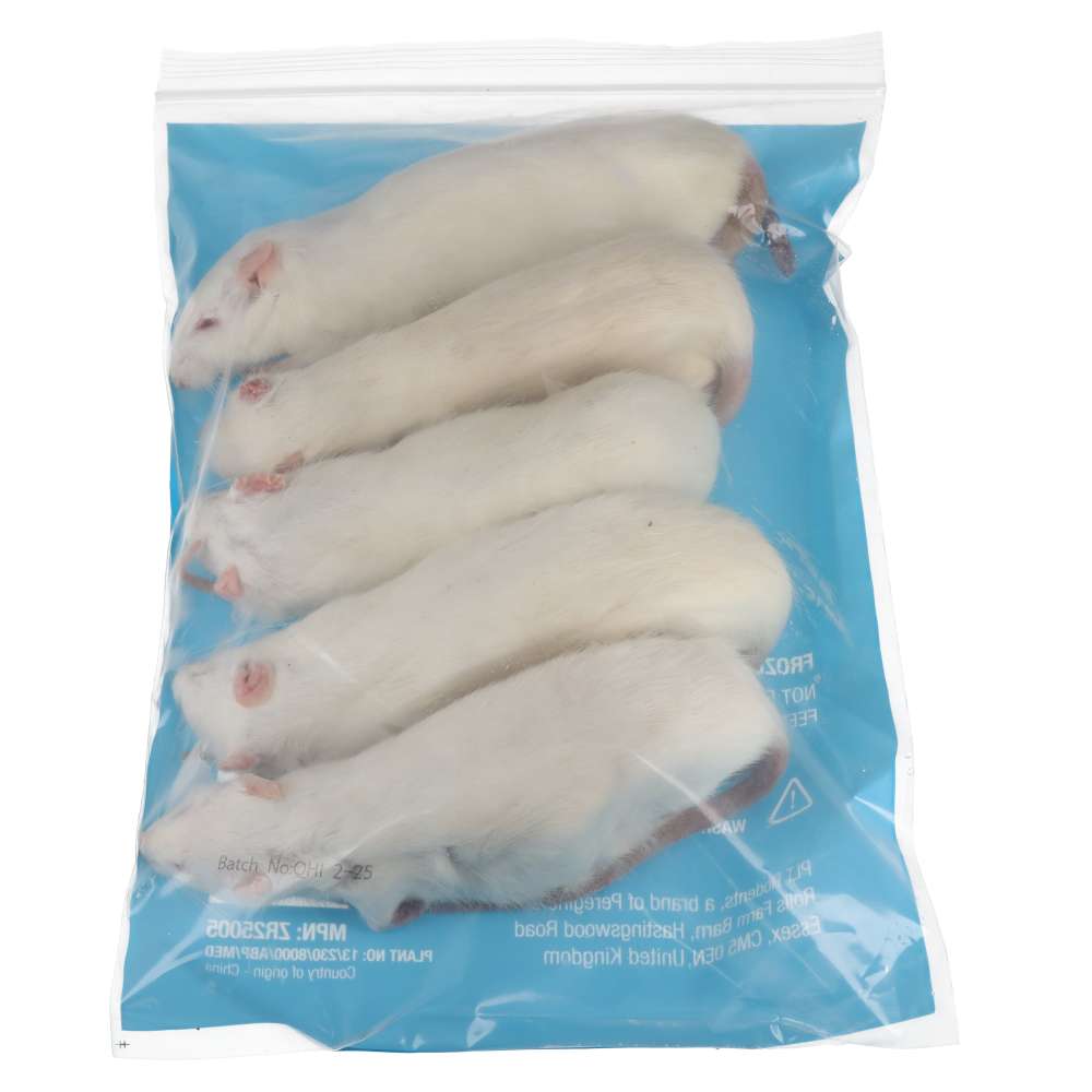 PLT Frozen Rats Large 250g+