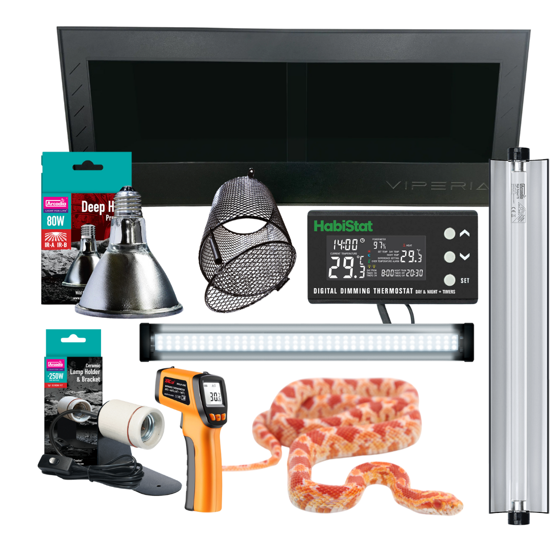 Corn Snake Kit complete reptile starter kit with PVC vivarium and equipment