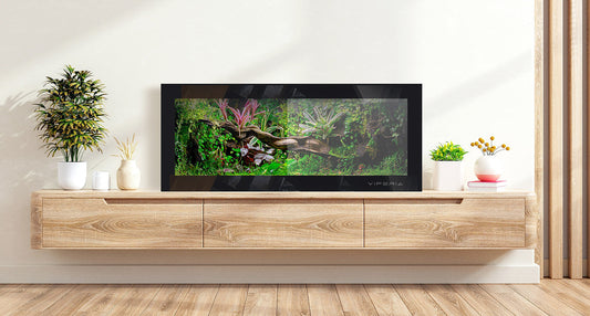 How to Choose the Perfect Vivarium for Your Reptile’s Species
