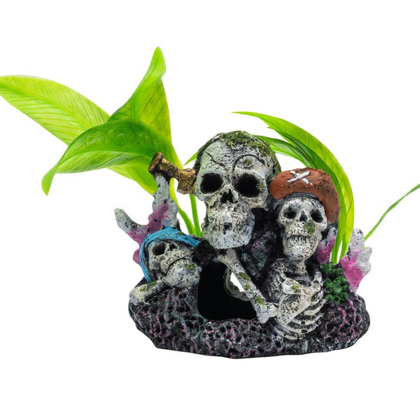 AquaSpectra Pirate Skull Group 11x7.5x11cm
