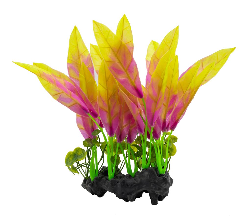 AquaSpectra Sword Leaf on Log 26cm