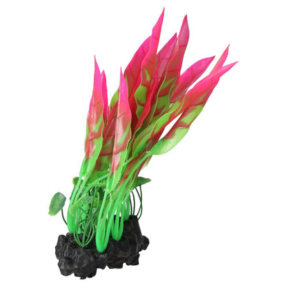 AquaSpectra Sword Leaf on Log 26cm