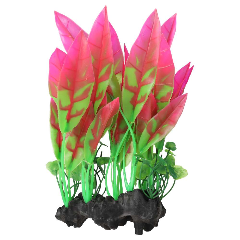 AquaSpectra Sword Leaf on Log 26cm
