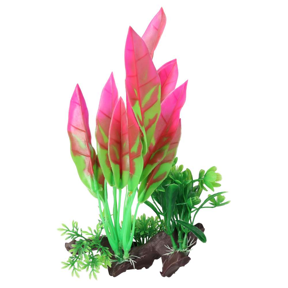 AquaSpectra Sword Leaf on Log 26cm