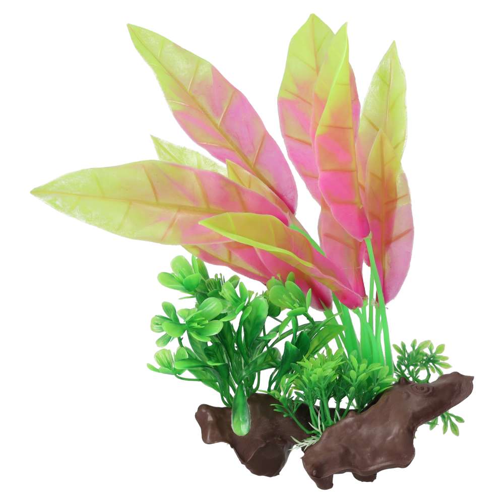 AquaSpectra Sword Leaf on Mulberry Orange 26cm