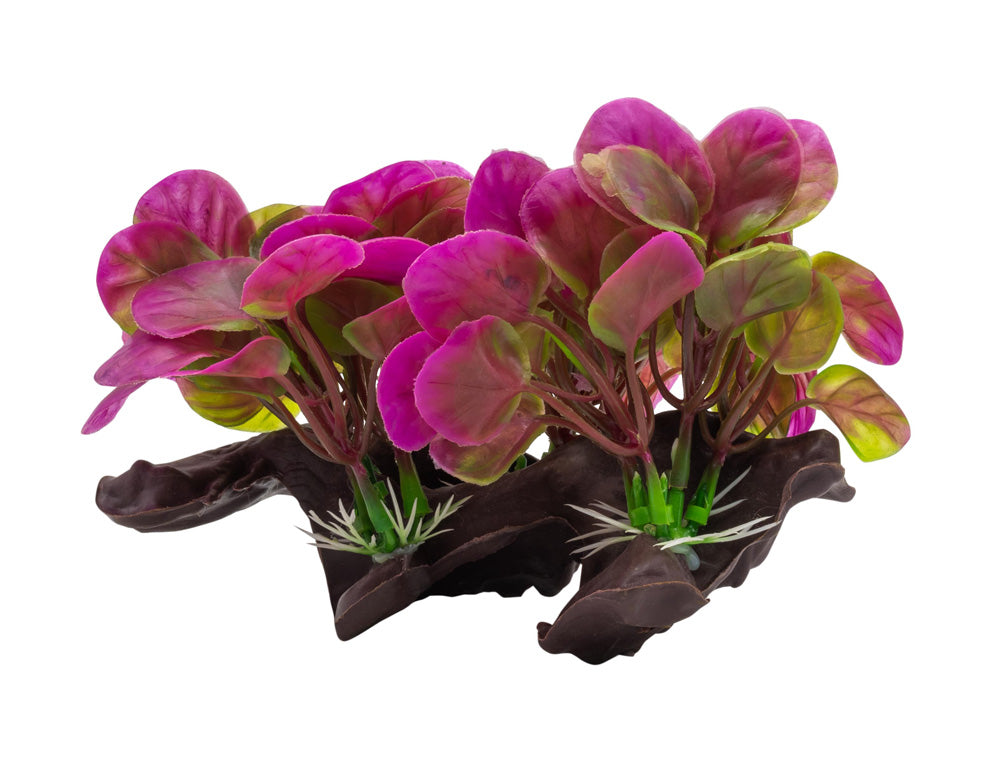 Artificial Anubias on Log Pink 18cm | Aquarium Décor