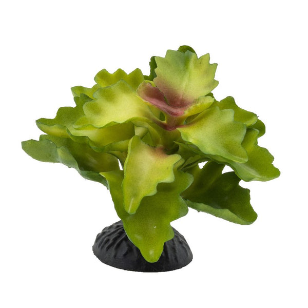 AquaSpectra Lobelia Plant Green 10cm