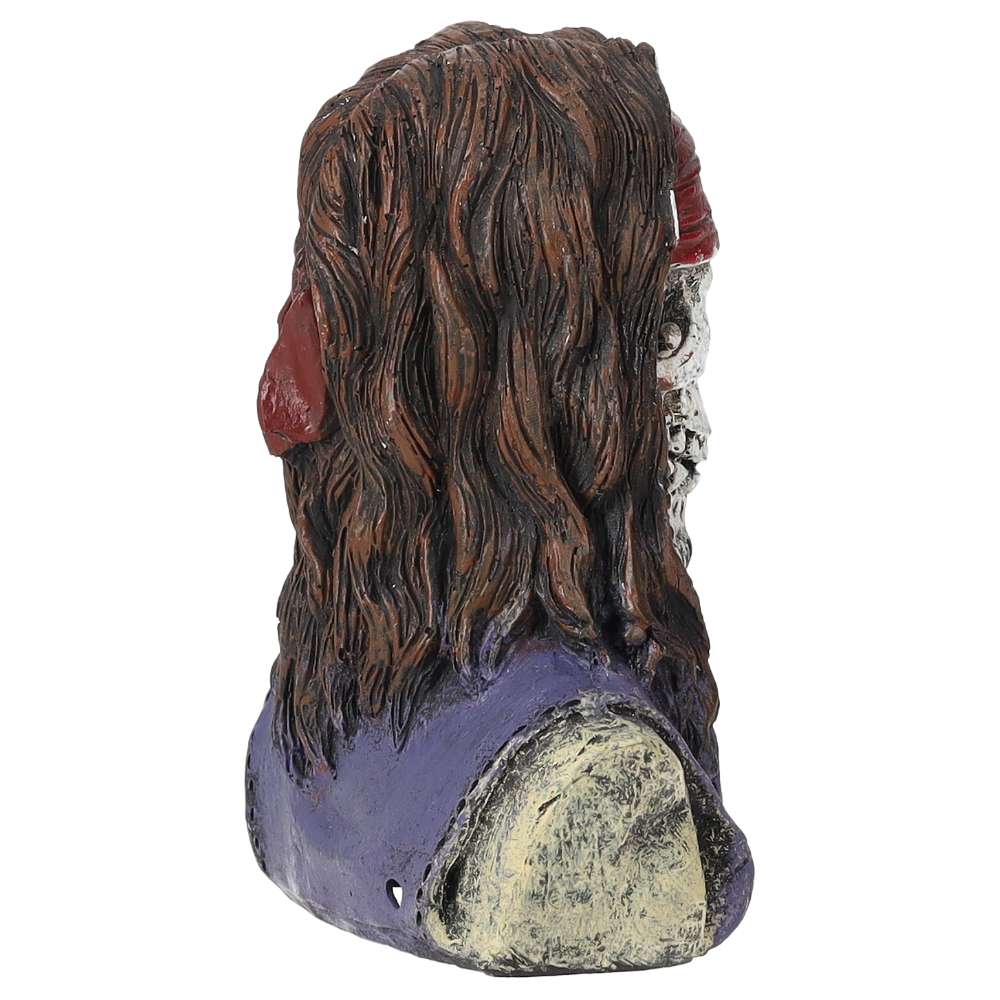 AquaSpectra Caribbean Pirate Skull