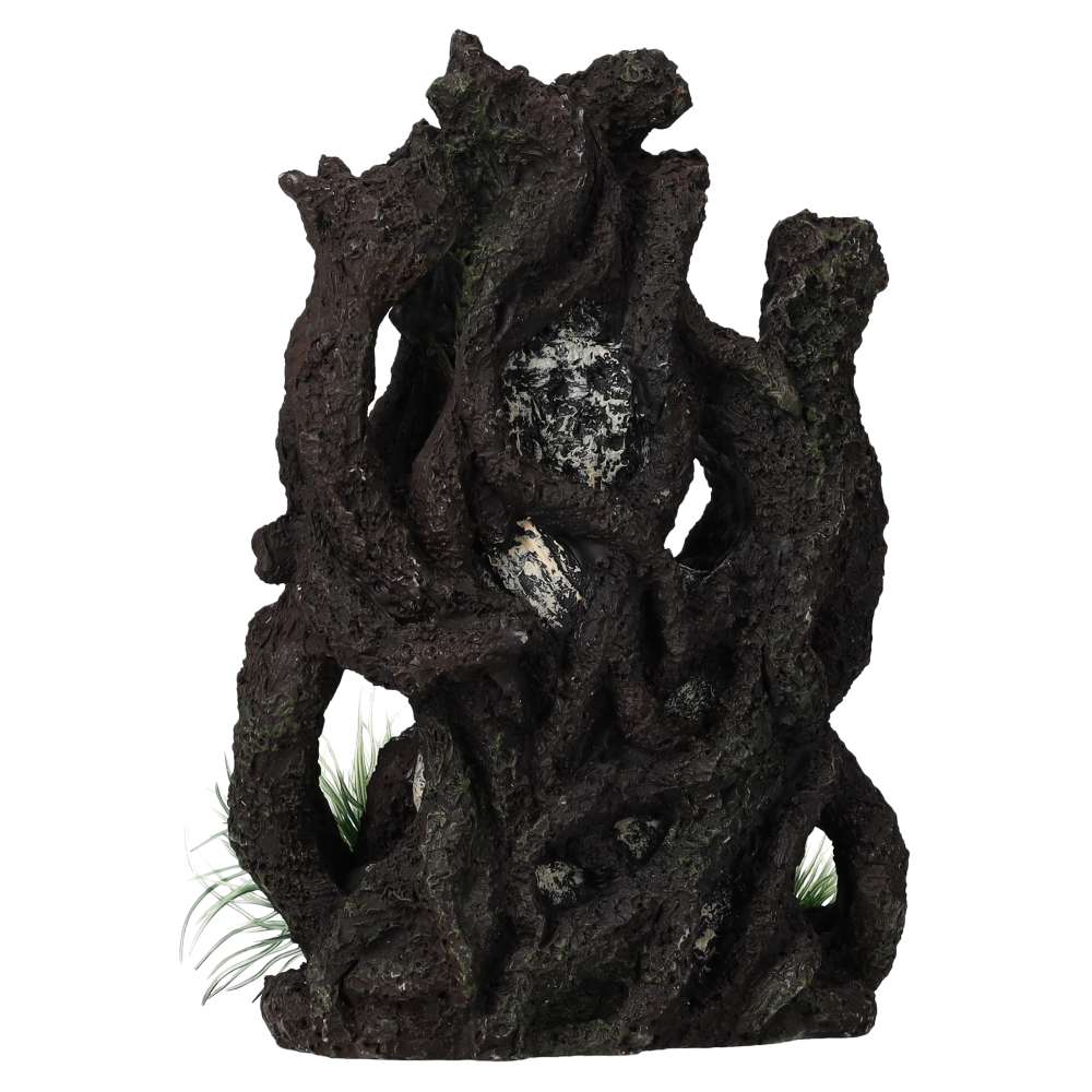 AquaSpectra Khmer Shrine In Vines