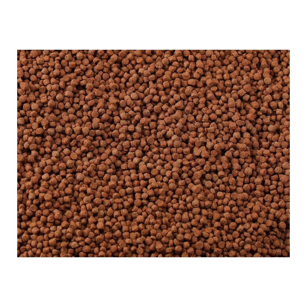 Fish Science Goldfish Floating Pellets 110g | All Varieties