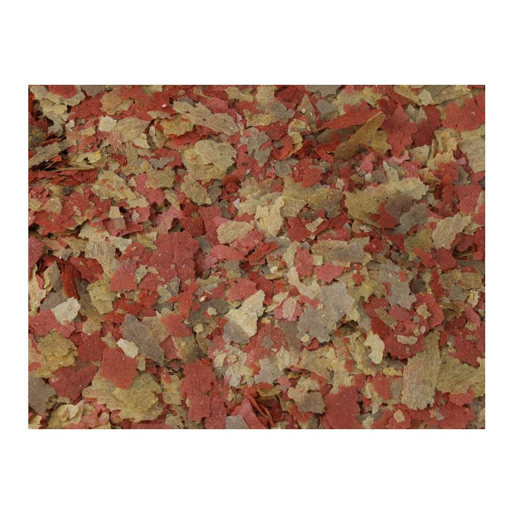 Fish Science Tropical Flakes 100g | Complete Tropical Fish Food