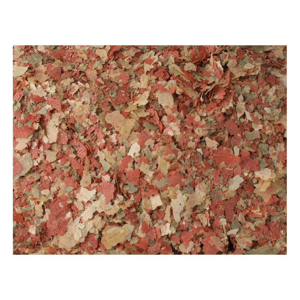 Fish Science Tropical Flakes 200g — Complete Tropical Fish Food