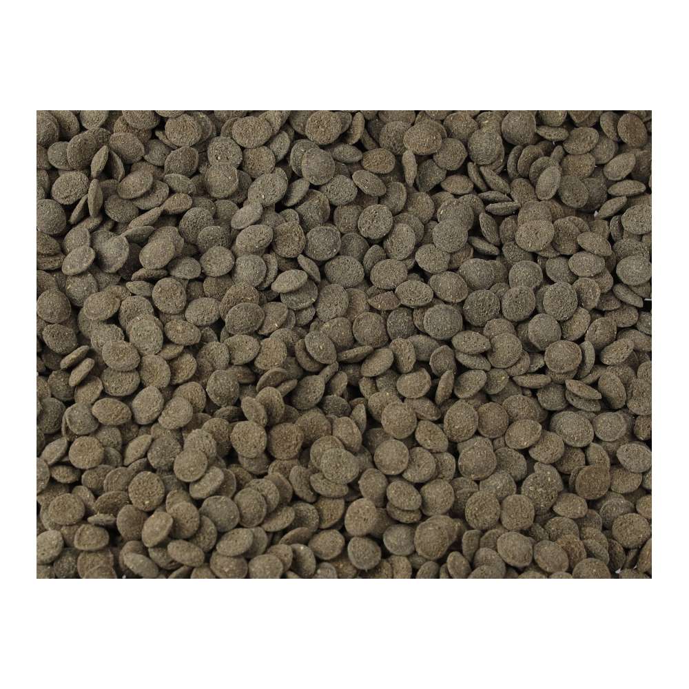 Fish Science Mini Algae Wafers 110g | Plecostomus & Algae Eater Food