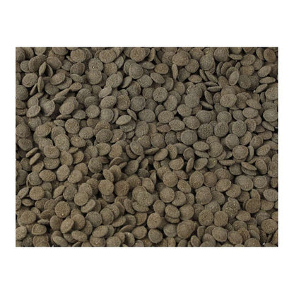 Fish Science Mini Algae Wafers 110g | Plecostomus & Algae Eater Food