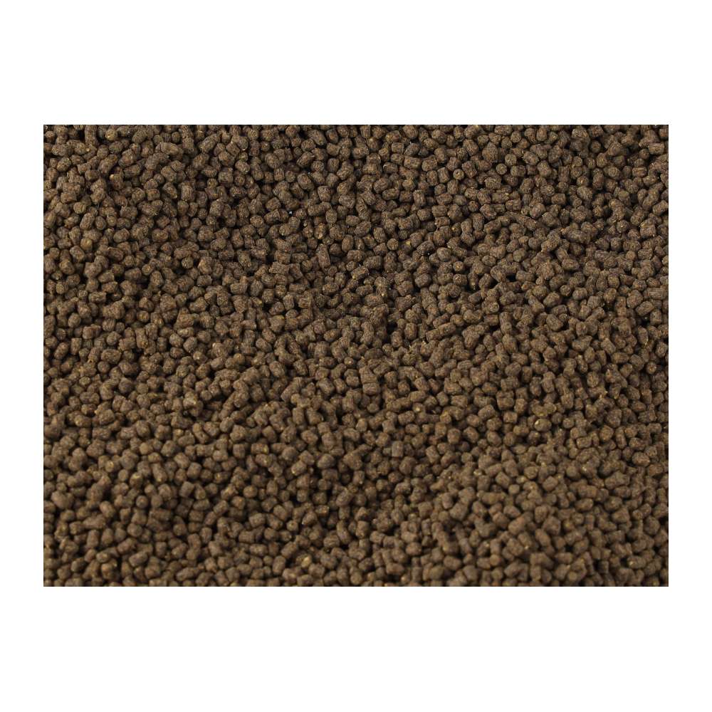 Fish Science Discus Pellets 155g (250ml) | Insect-Based Discus Food