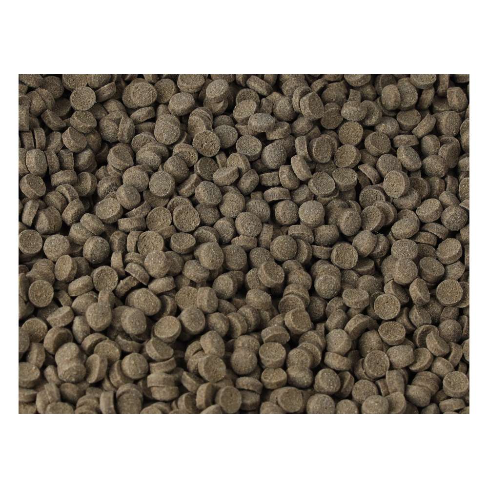 FishScience Large Carnivore Sinking Pellets