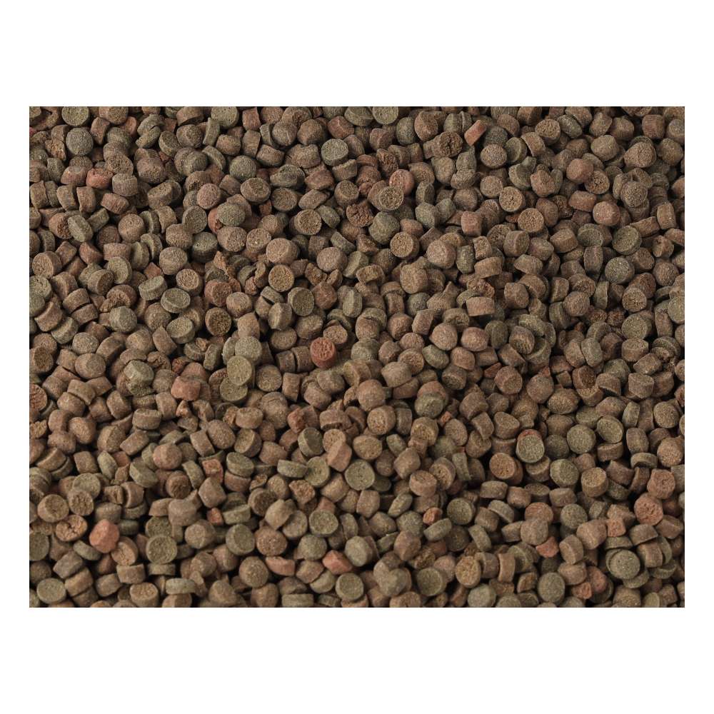 Fish Science Large Carnivore Diet 570g Sinking Pellets for Oscars, Rays & Catfish