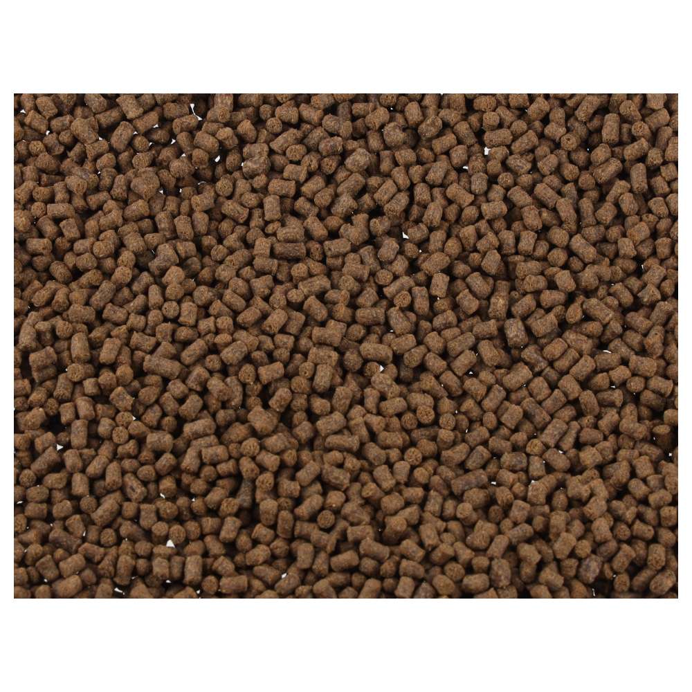 FishScience Axolotl Pellets