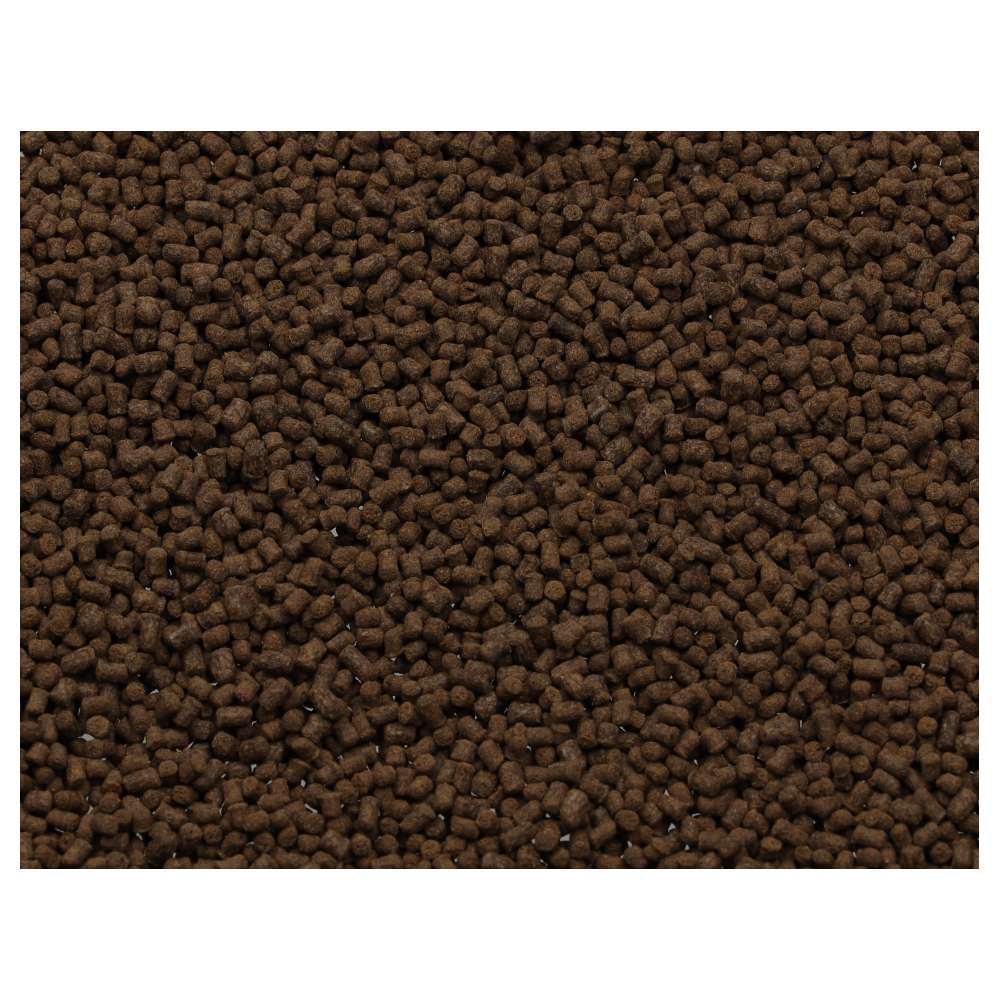 Fish Science Axolotl Food 150g – Insect-Based Sinking Pellets