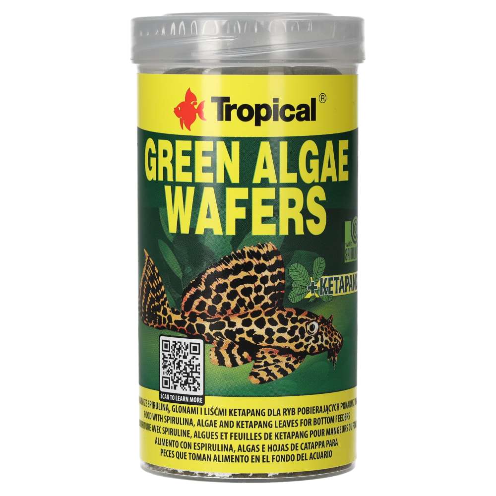 Tropical Green Algae Wafers