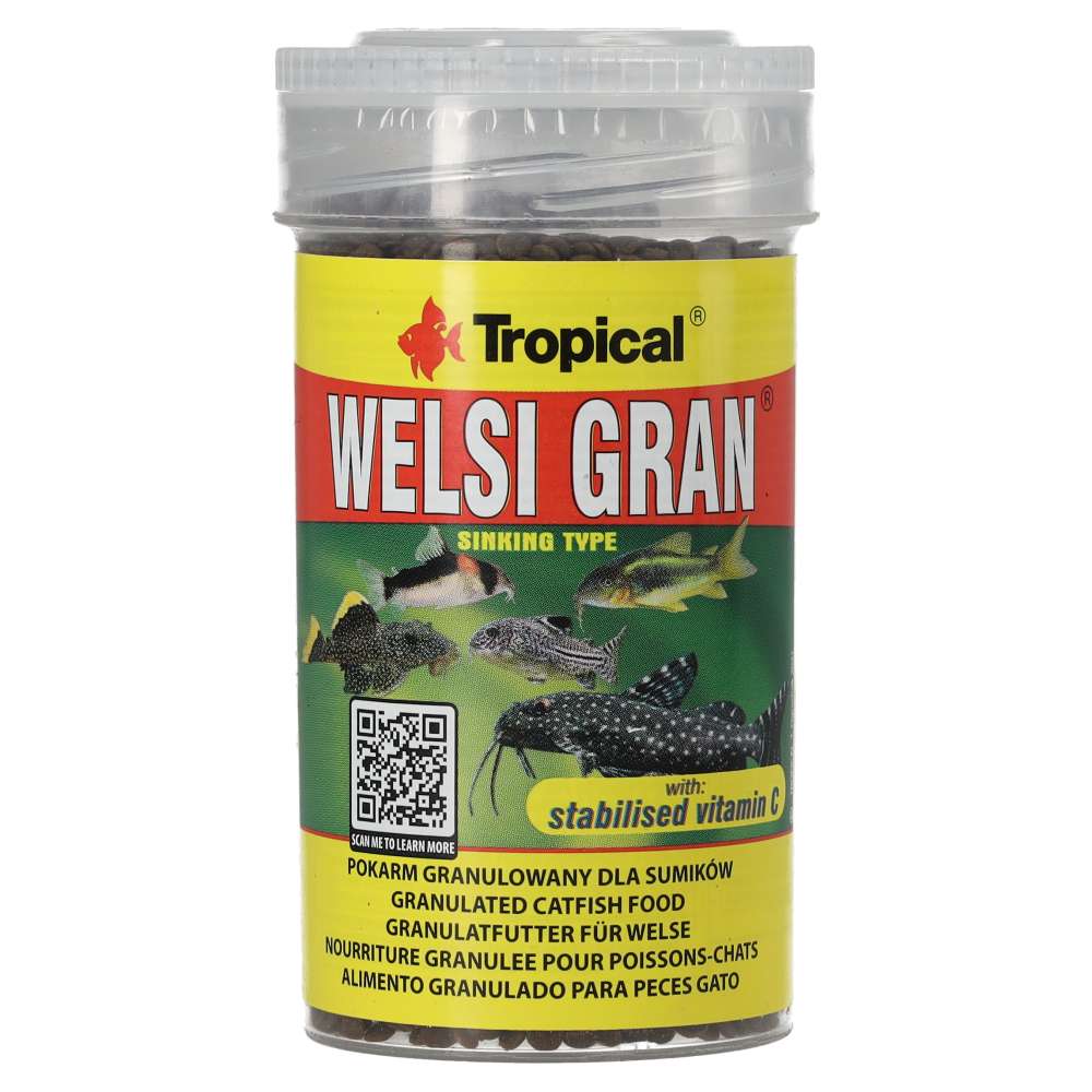Tropical Welsi Gran Food