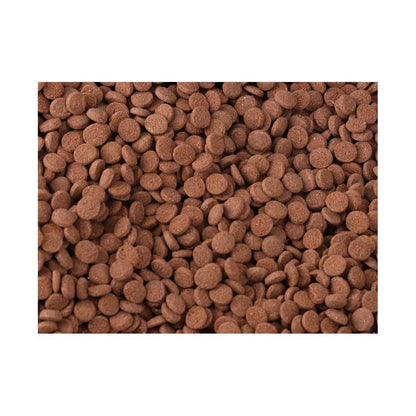 Tropical Carnivore Fish Food