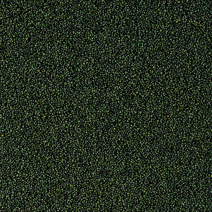 Tropical Super Spirulina Forte Mini Granulat 56g