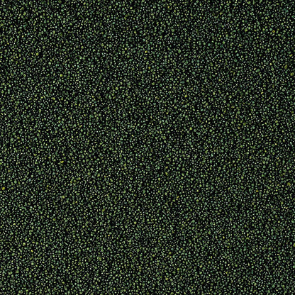 Tropical Super Spirulina Forte Mini Granulat