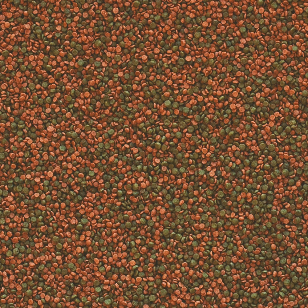 Tropical Cichlid Gran 55g | Cichlid Granule Food