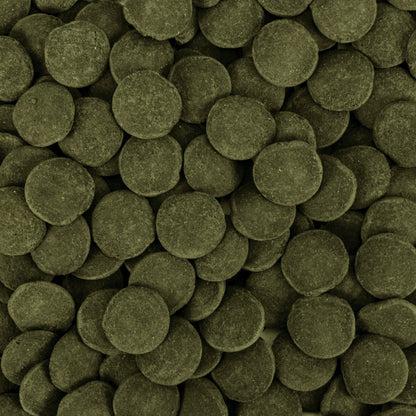 Tropical Hi-Protein Discs XXL 125g – Wafer Tablet Food