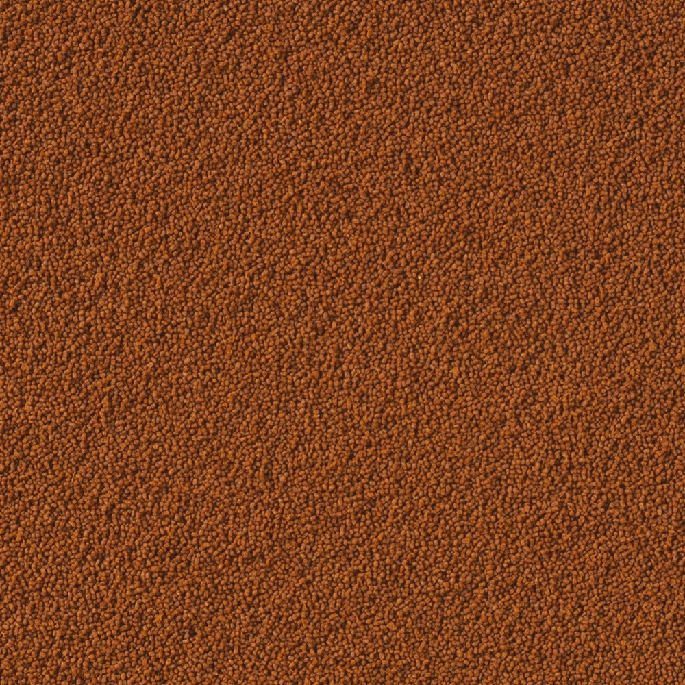 Tropical Insect Menu Colour Granules XXS 64g