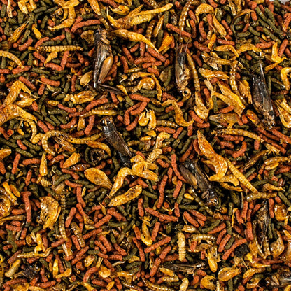 Tropical Soft Line Carnivore Pellet Food 80g